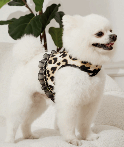 Arnes animal print c/encaje y toques dorados c/correa. Talle S